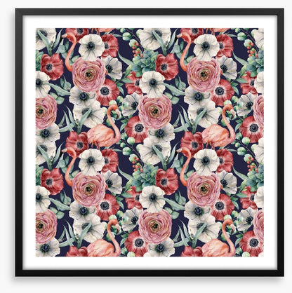 Ranunculus flamingos