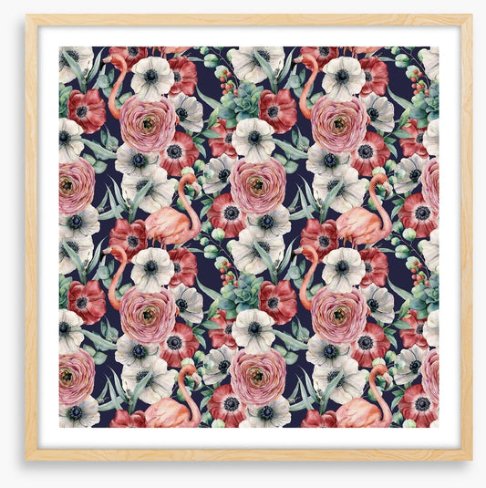 Ranunculus flamingos