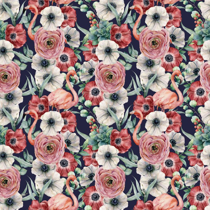 Ranunculus flamingos