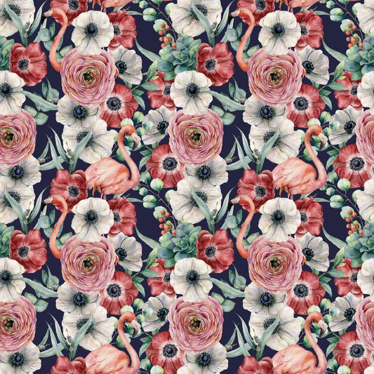Ranunculus flamingos