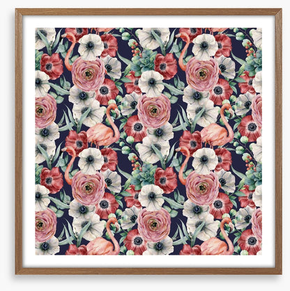 Ranunculus flamingos