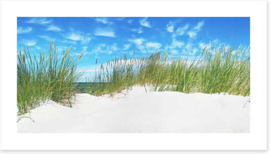 Green grass dunes