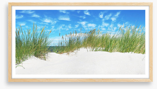 Green grass dunes