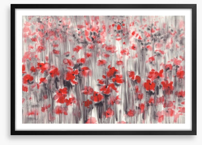 Poppy field haze