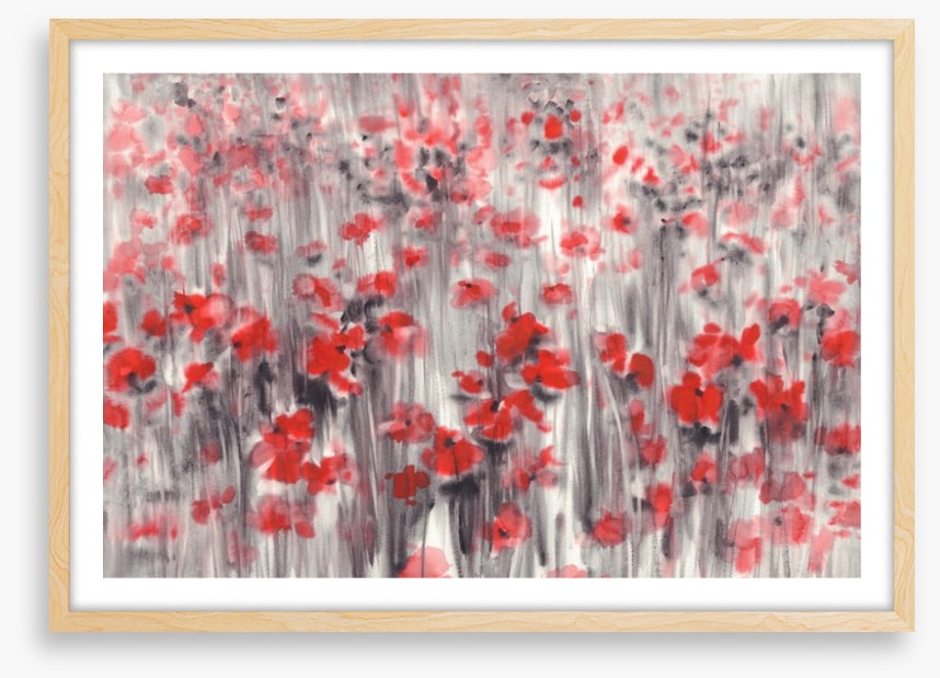 Poppy field haze
