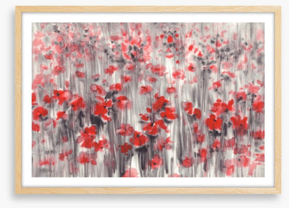 Poppy field haze