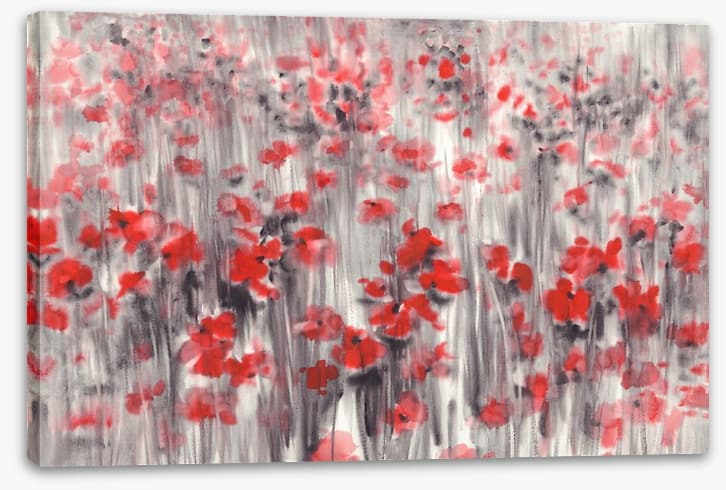 Poppy field haze