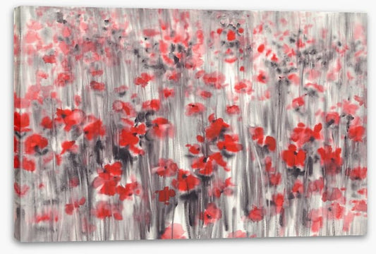 Poppy field haze