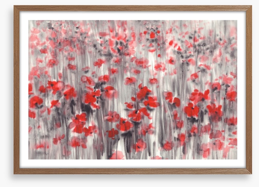 Poppy field haze