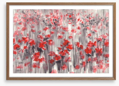 Poppy field haze