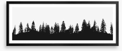 Treeline panorama