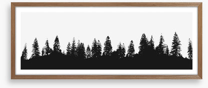 Treeline panorama