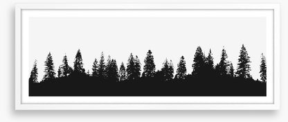 Treeline panorama