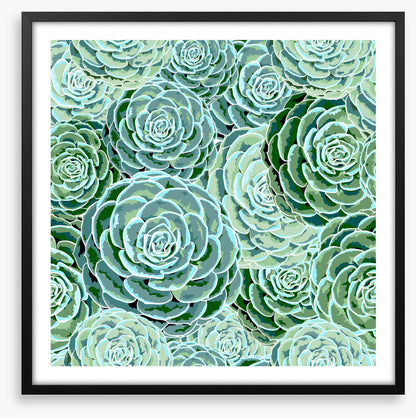 Soft and succulent