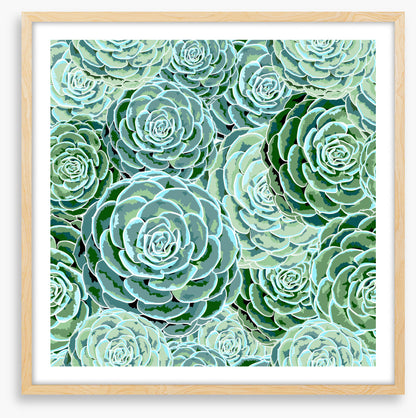 Soft and succulent