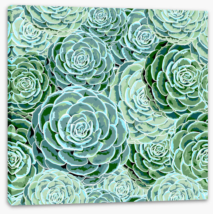 Soft and succulent