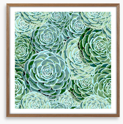 Soft and succulent