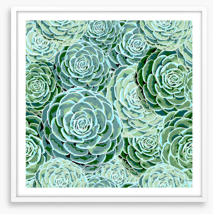 Soft and succulent