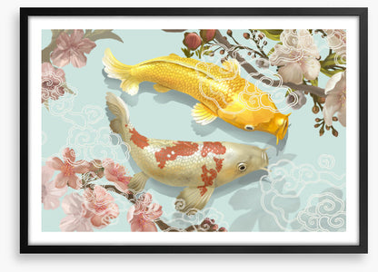 Blossom pool koi