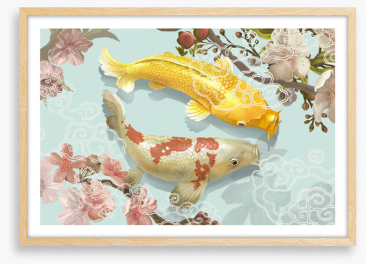 Blossom pool koi