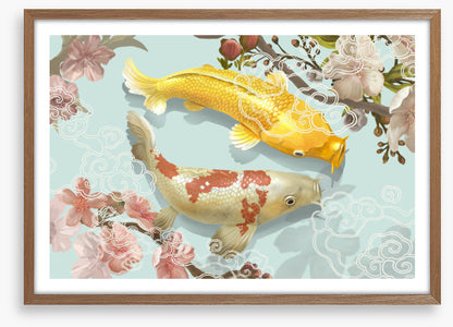 Blossom pool koi