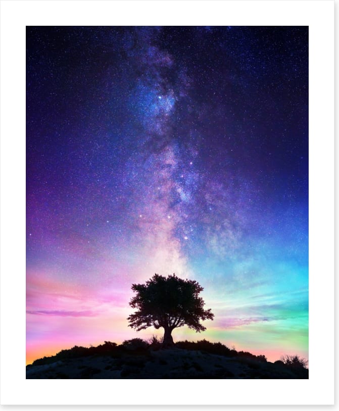 Life on earth