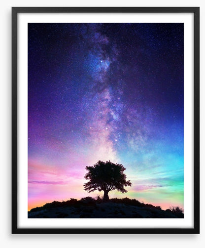 Life on earth