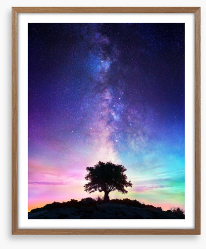 Life on earth