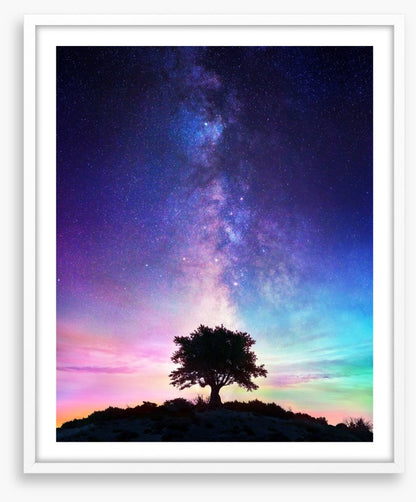 Life on earth