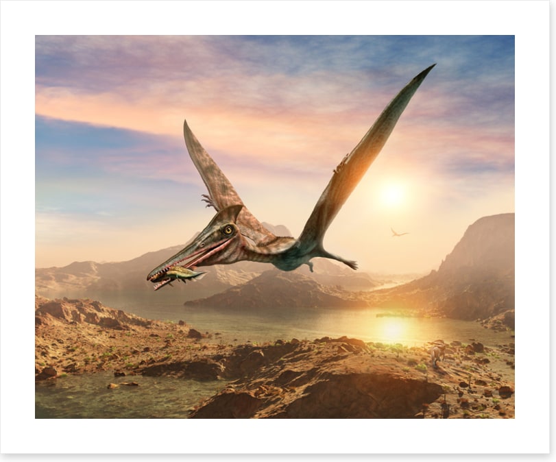 Dinosaurs