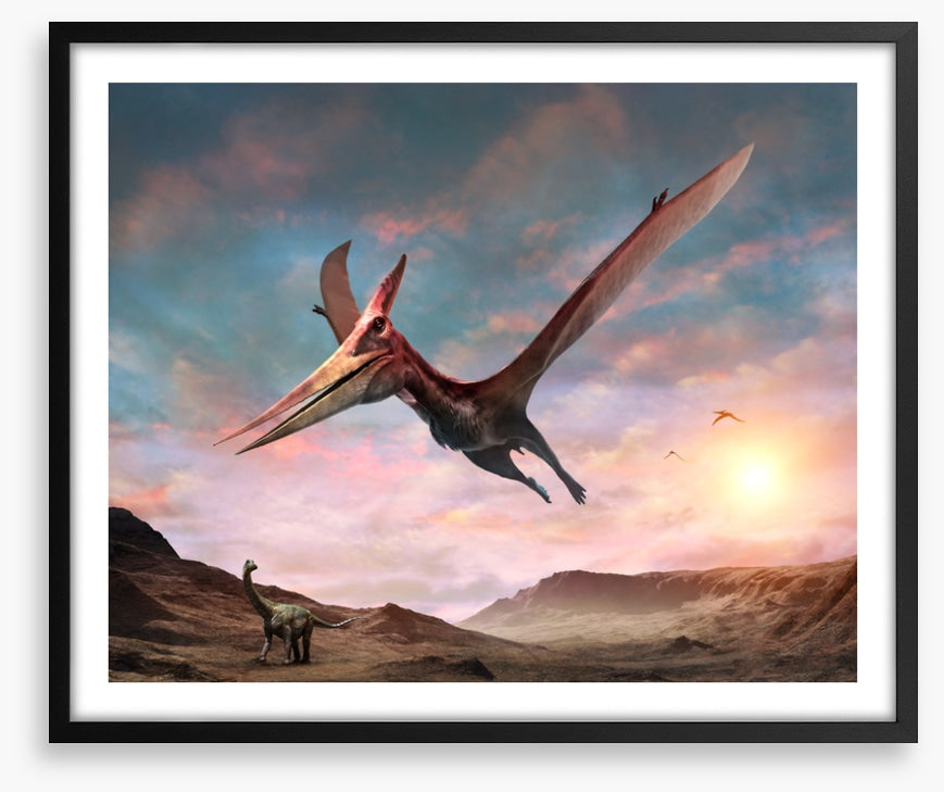Pteranodon glide