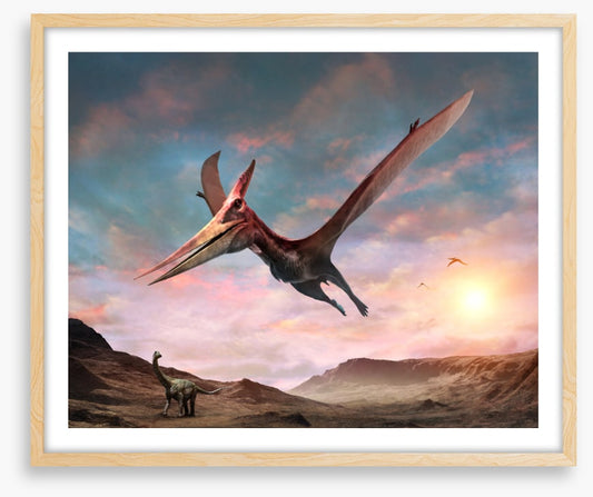 Pteranodon glide