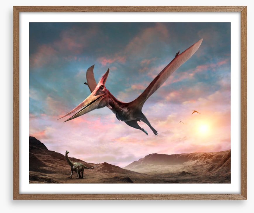 Pteranodon glide