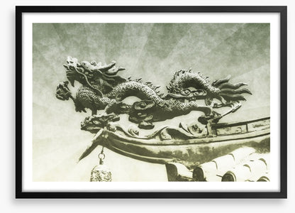 Dragons