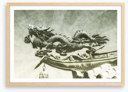 Dragons