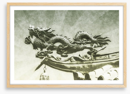 Dragons