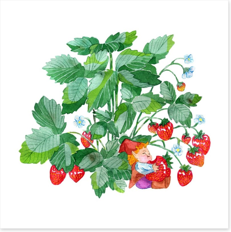 Fun Gardens