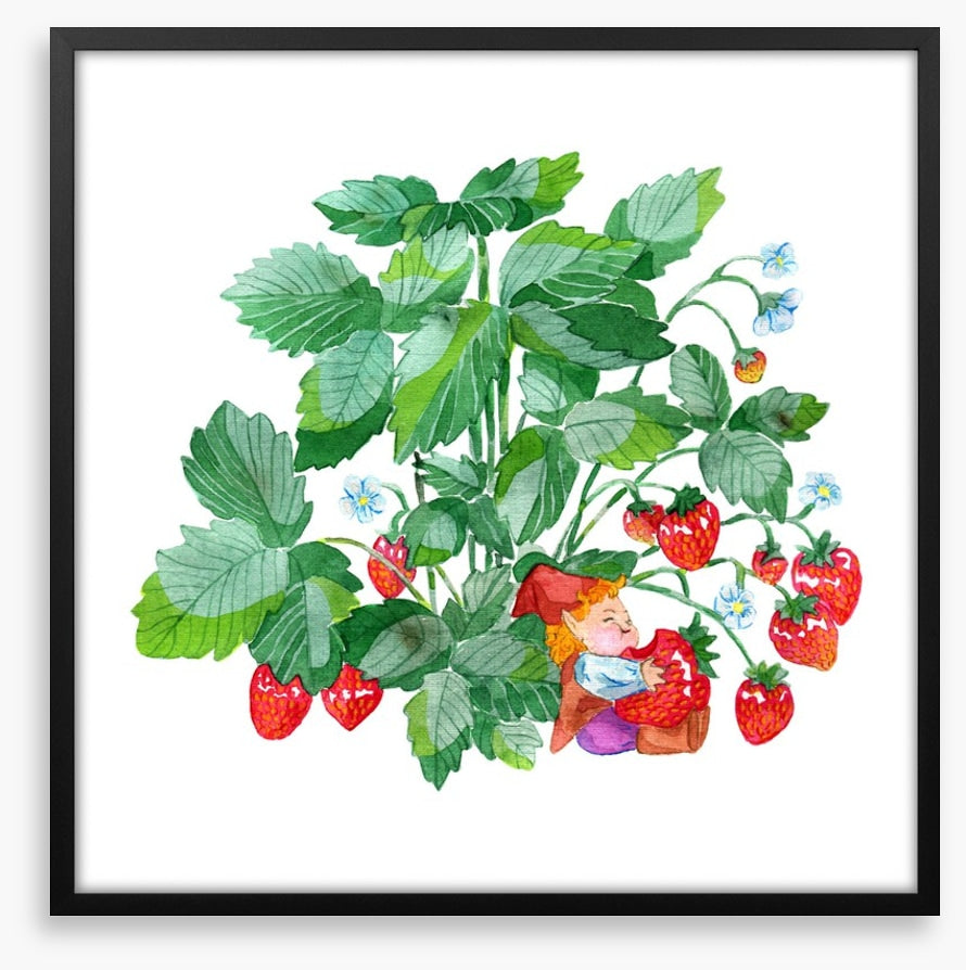 Fun Gardens
