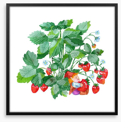 Fun Gardens