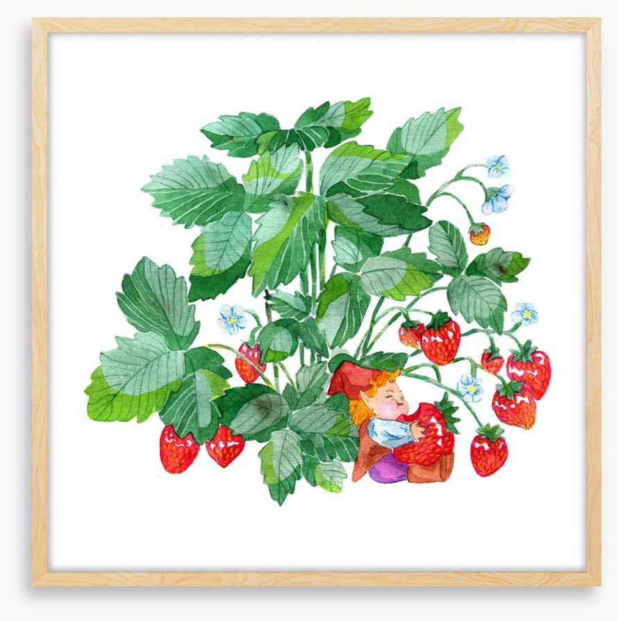 Fun Gardens