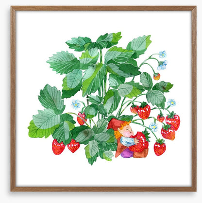 Fun Gardens