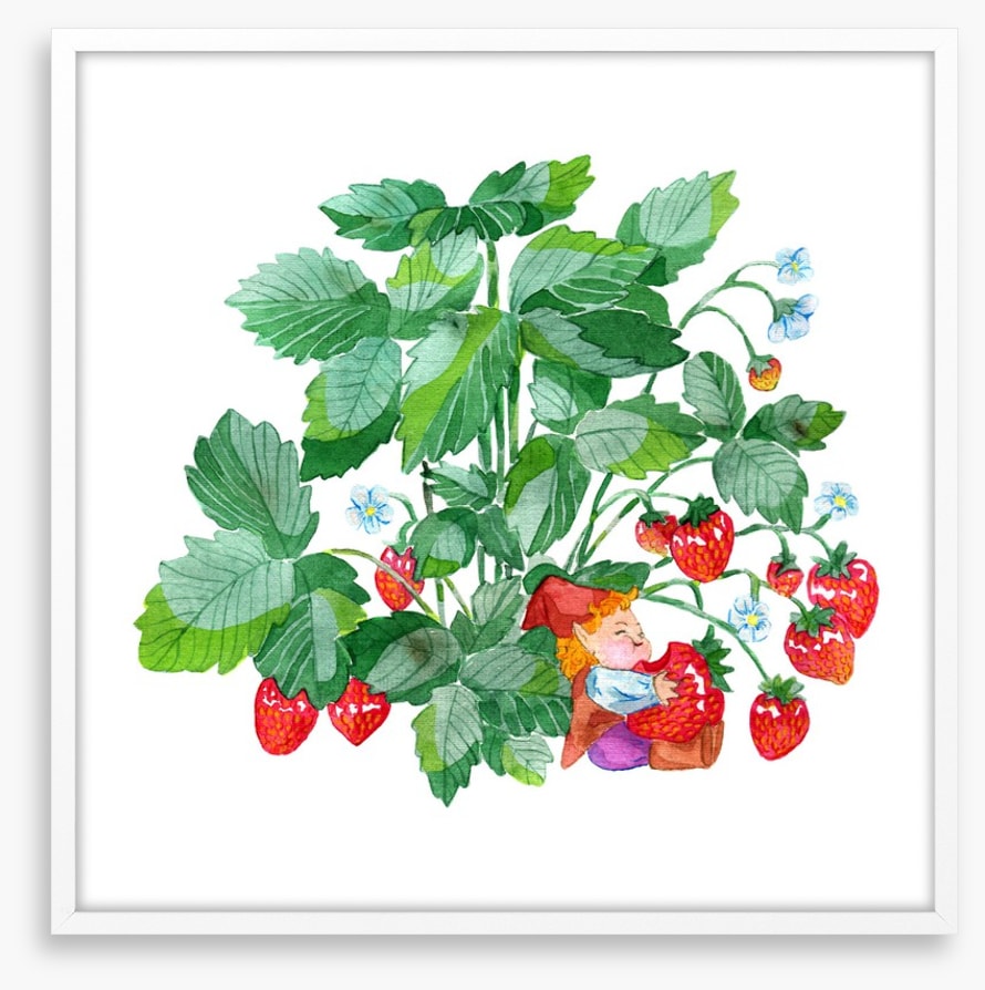 Fun Gardens