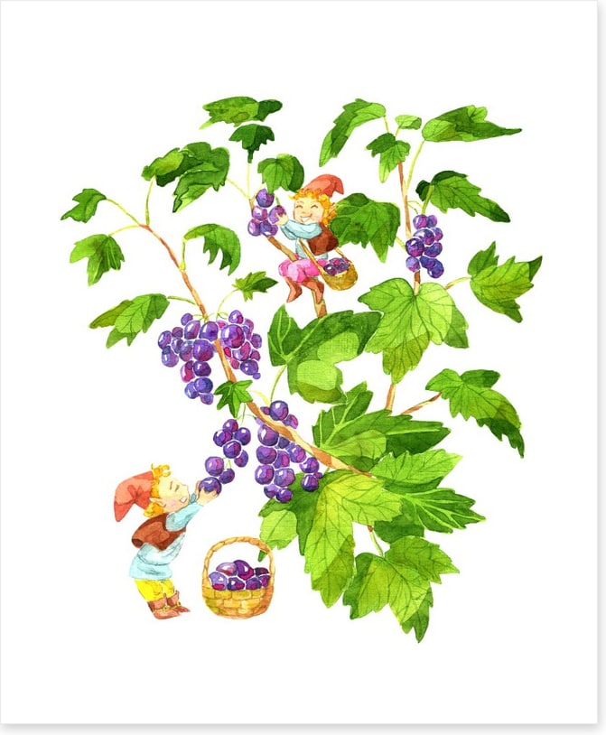 Fun Gardens