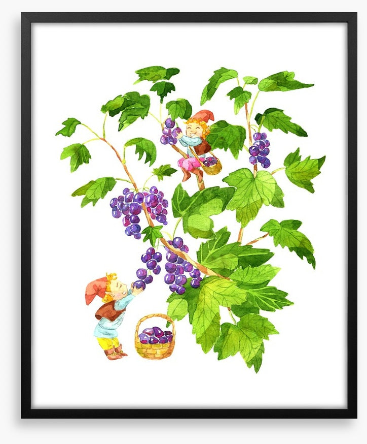 Fun Gardens