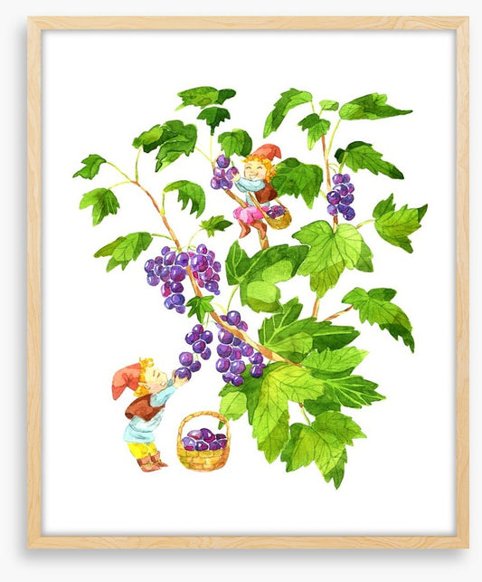 Fun Gardens