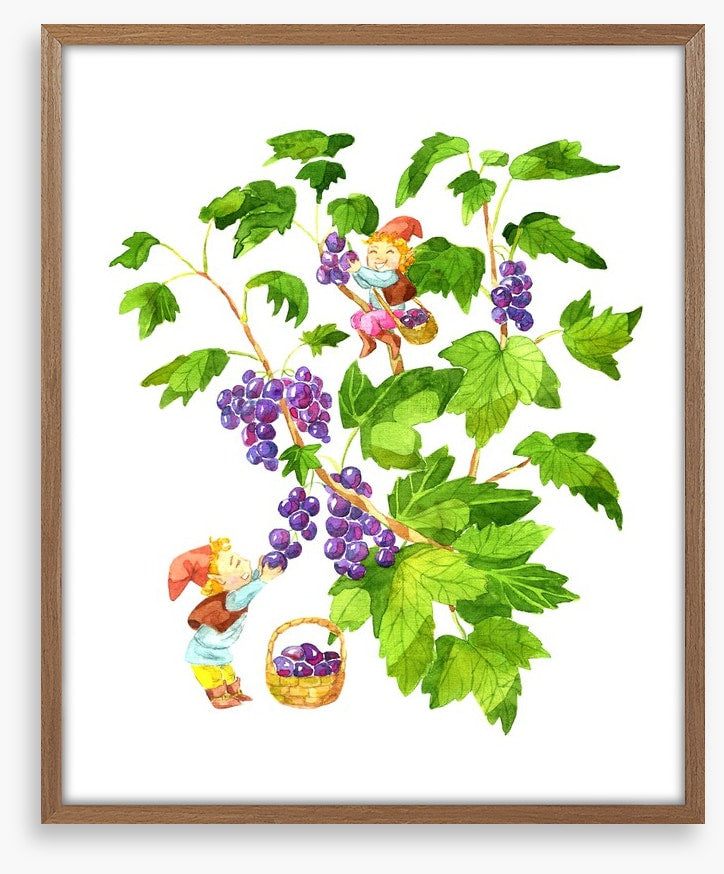 Fun Gardens