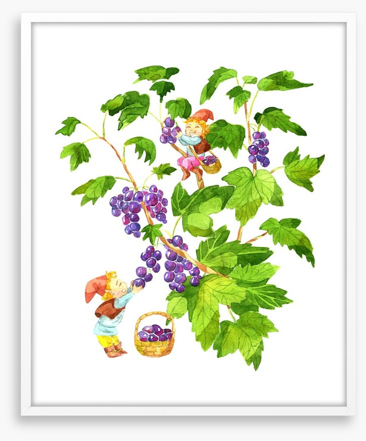 Fun Gardens