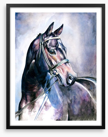 Soulful mare