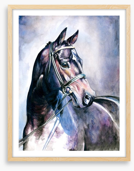 Soulful mare