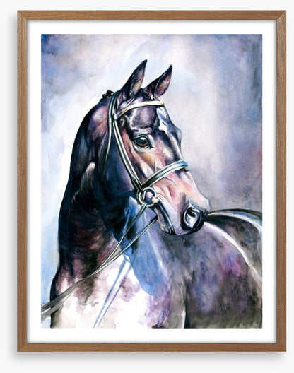 Soulful mare